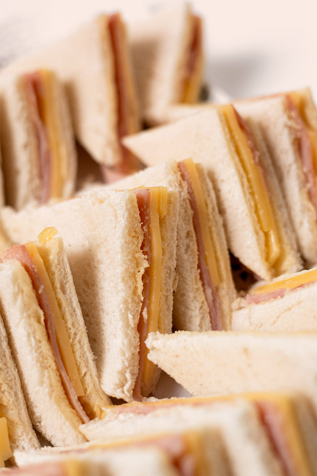 Sandwiches Pan de Molde (14 pzas)