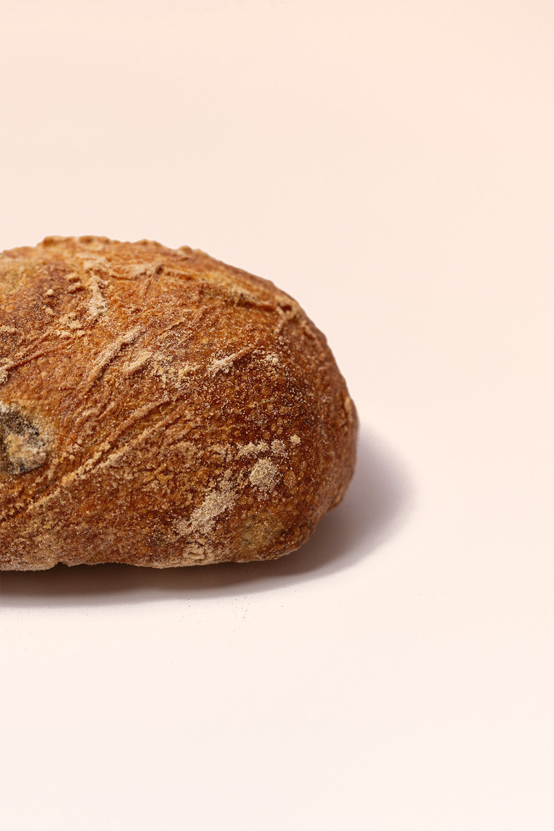 Pan de Aceitunas 1 ud