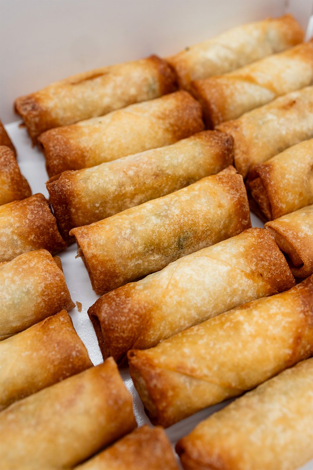 Bandeja mini rollitos primavera 21 uds