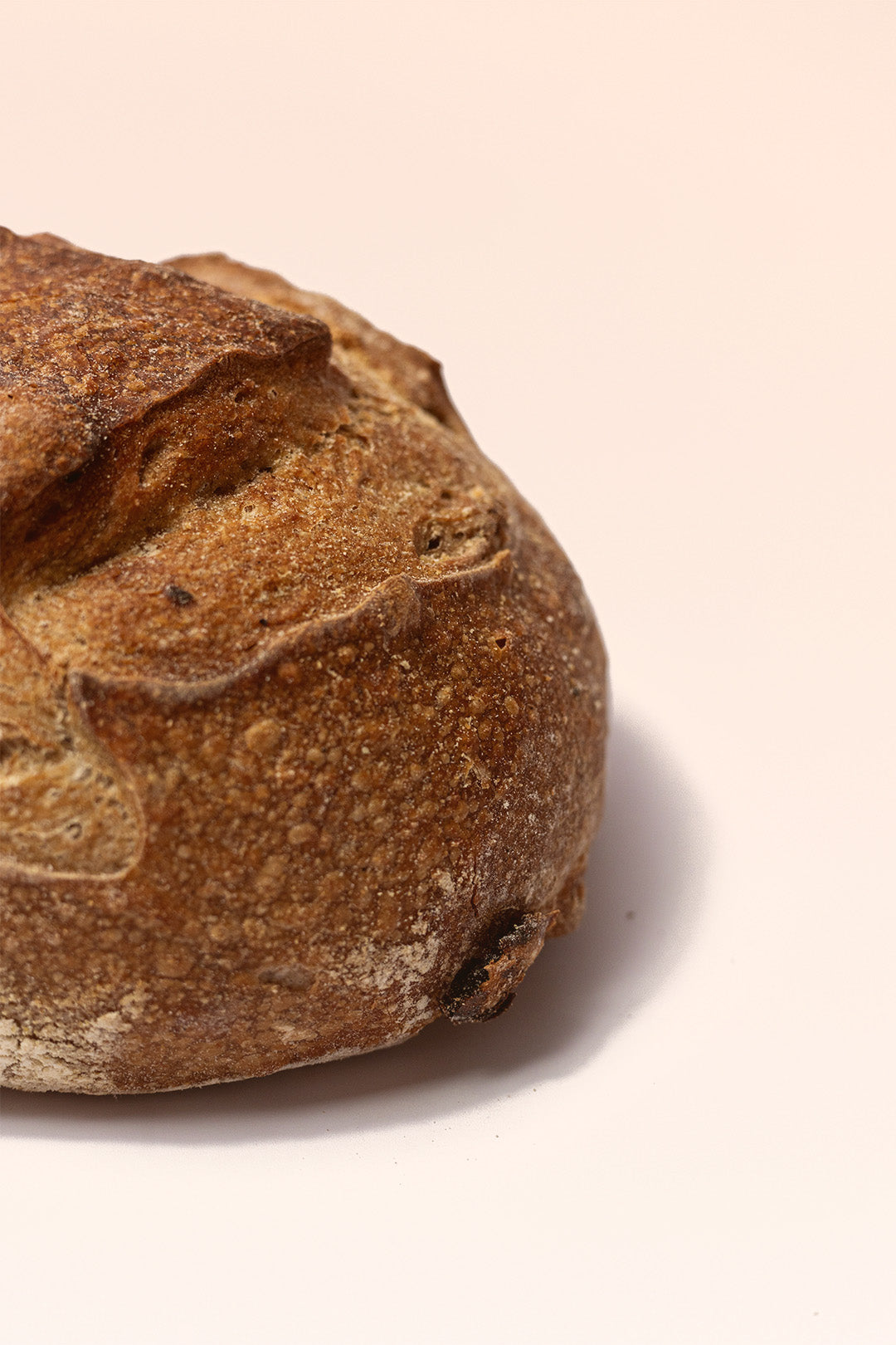 Pan de Pasas y Nueces 1 ud
